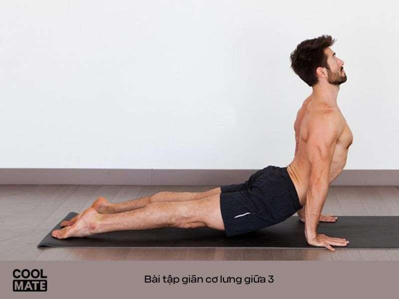 Bài tập giãn cơ lưng giữa 3