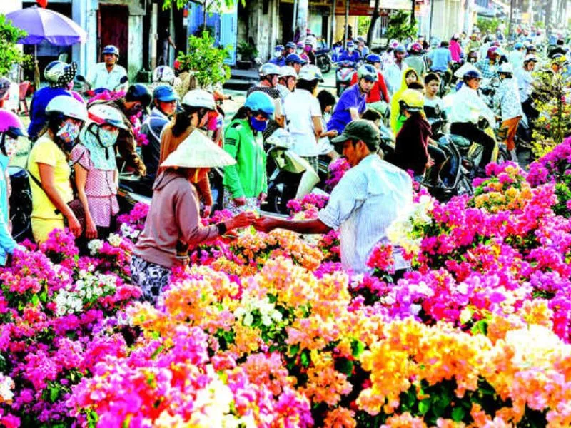 Chơi hoa ngày tết - phong tục ngày tết Nguyên Đán