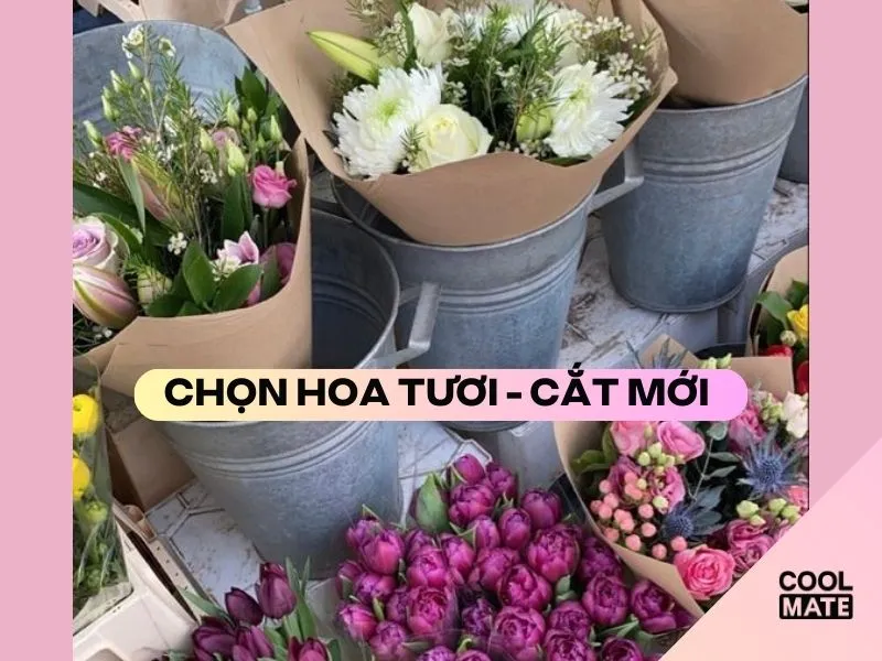 Chọn lựa những bông hoa tươi vừa được cắt