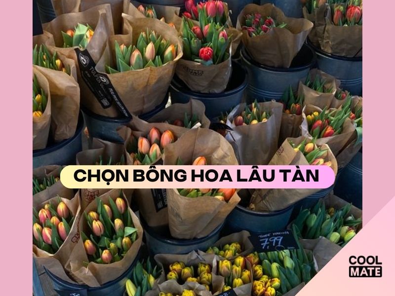 Lựa chọn những loại hoa lâu héo