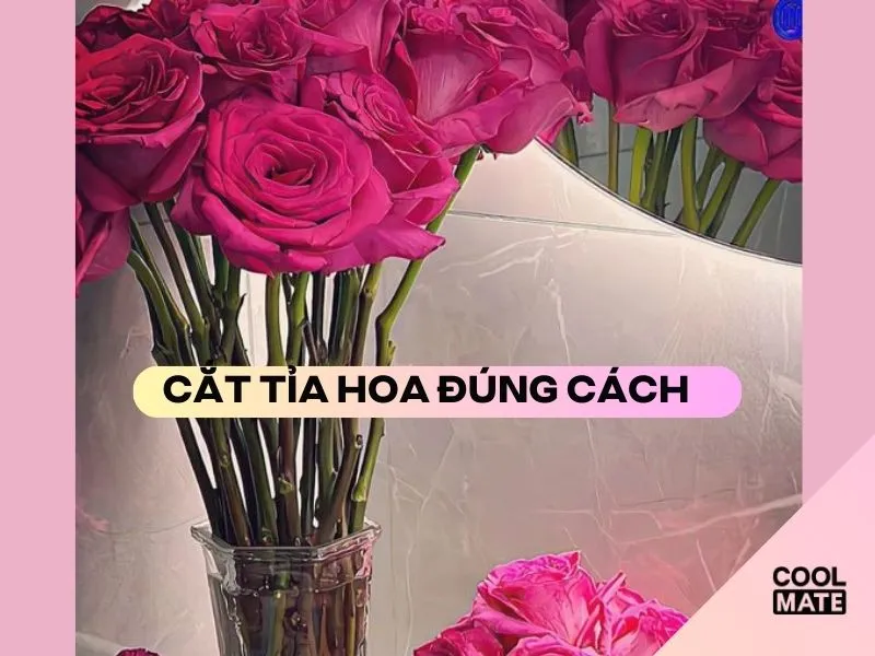 Cắt tỉa hoa đúng cách, đúng quy trình