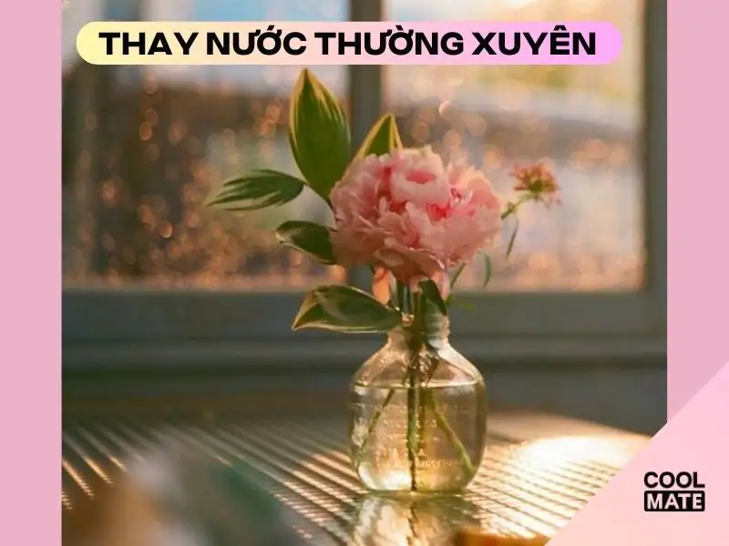 Nên thay nước thường xuyên 