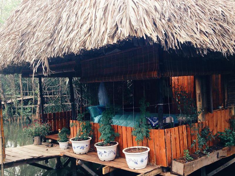 Không gian rất “thiên nhiên” của homestay ở Sài Gòn Springfied Cottage