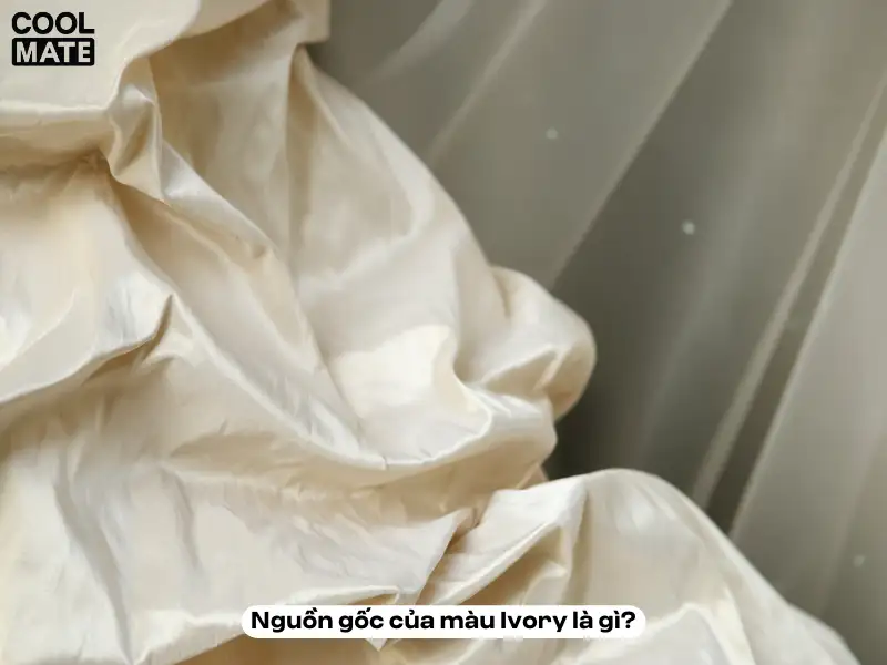 Nguồn gốc của màu Ivory là gì?