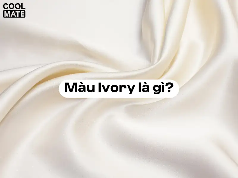 Màu Ivory là gì?