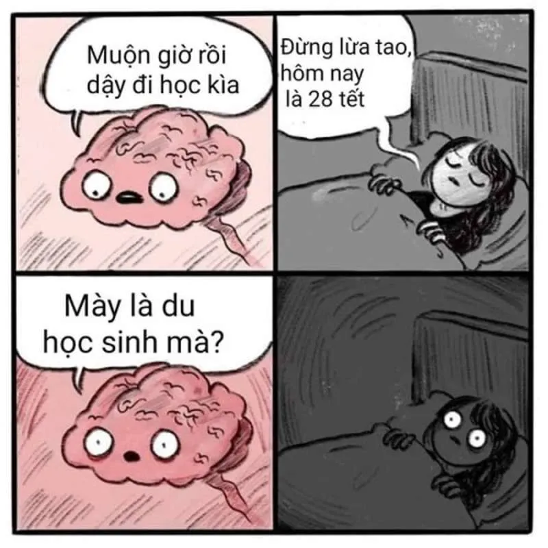 Meme đón Tết xa nhà kiểu: