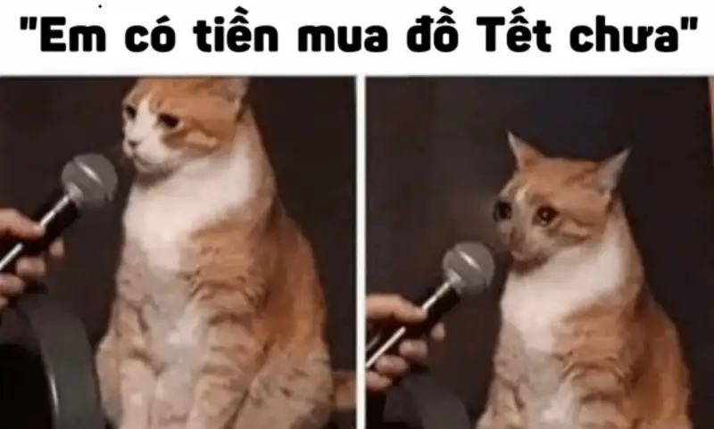 Meme đón Tết