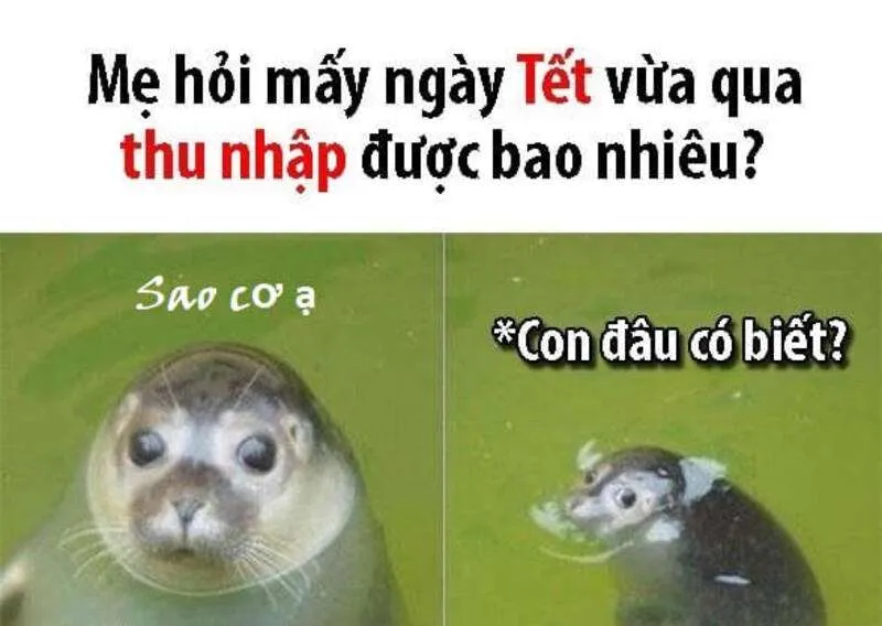 Meme Tết về tiền lì xì