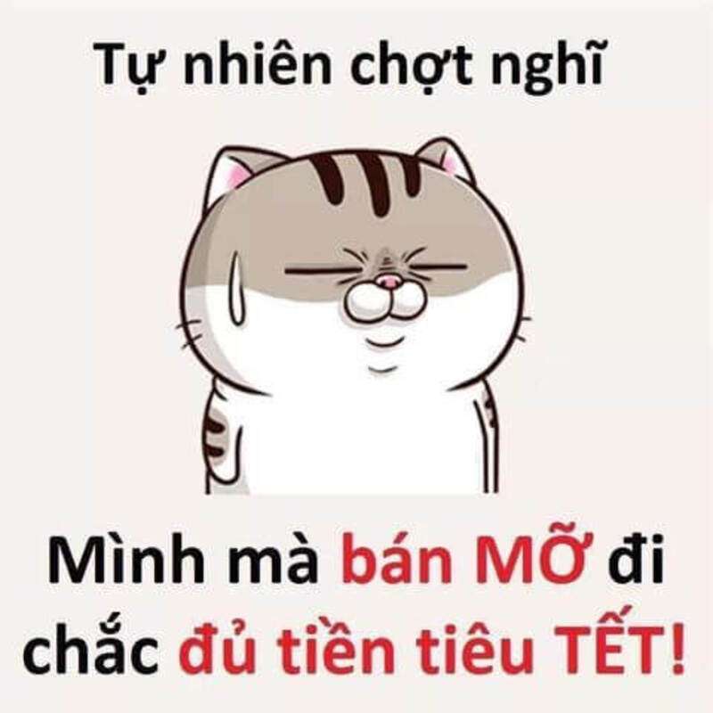 Ngày thường cũng có gầy đâu nên đừng đổ tại Tết!