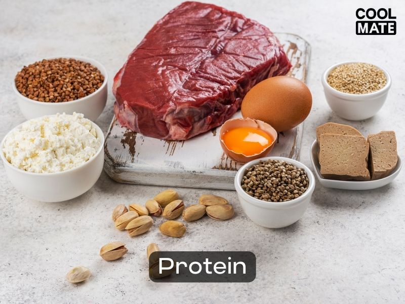 Cung cấp protein giúp cơ bắp phục hồi nhanh chóng