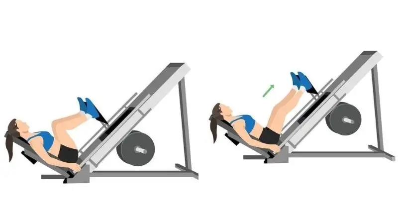 Sử dụng máy tập Leg Press chuyên dụng sẽ phát huy được tác dụng tối đa