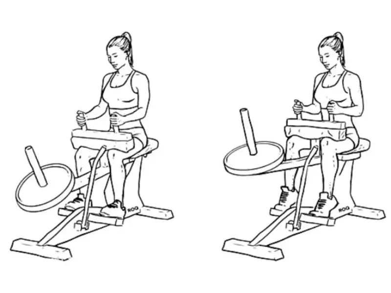 Máy tập bắp chuối là bí quyết để cải thiện đôi chân đẹp và cân đối.