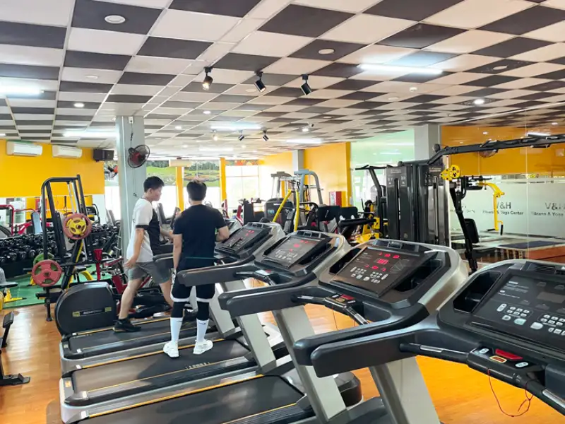 Phòng gym được trang bị giàn tạ đỉnh cao, đáp ứng nhu cầu tập luyện đa dạng của cả nam và nữ