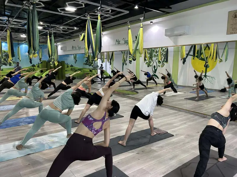 Yoga Mộc đặc biệt chú trọng đến việc kết nối cơ thể và tâm trí