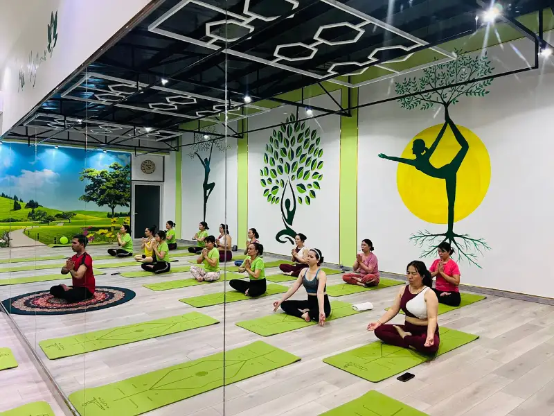 Trung tâm chuyên cung cấp các lớp học yoga đa dạng, phù hợp