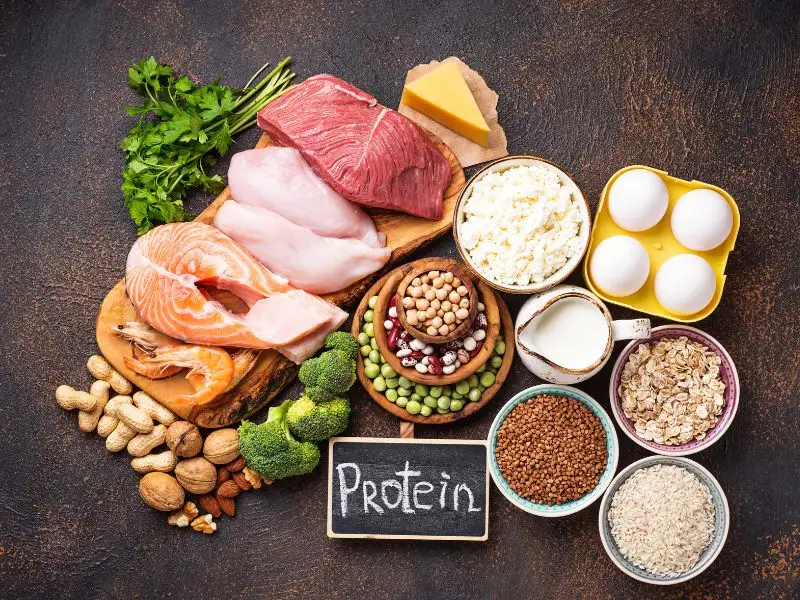 Bổ sung đủ protein
