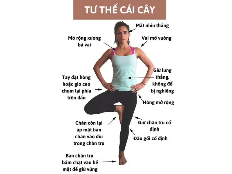 Tư thế cái cây (Tree Pose - Vrksasana)