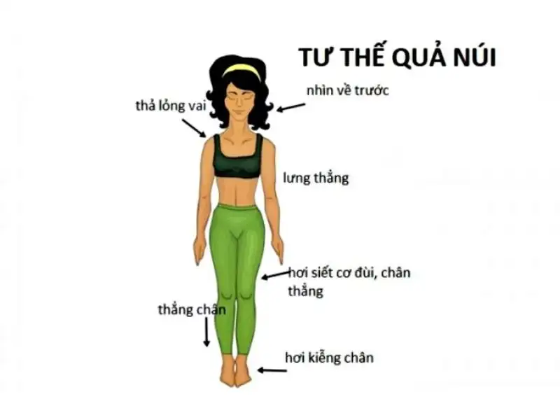 Tư thế đứng núi (Mountain Pose - Tadasana)