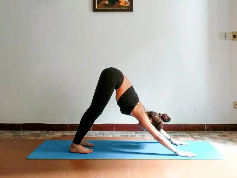 Tư thế chó úp mặt (Downward-Facing Dog - Adho Mukha Svanasana)