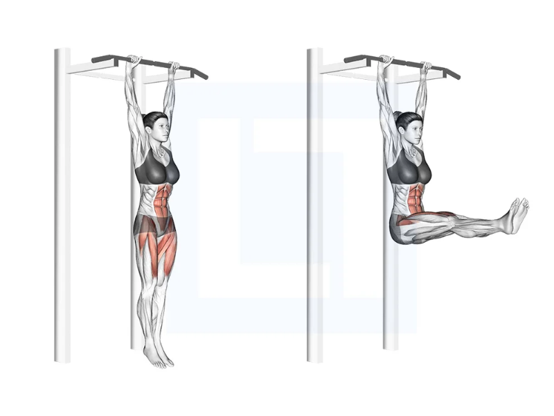 Động tác Hanging leg raise