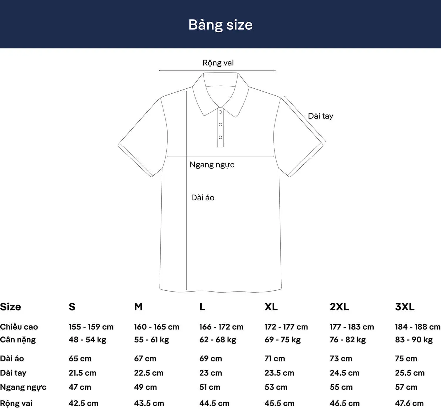 Bảng size áo polo nam cafe