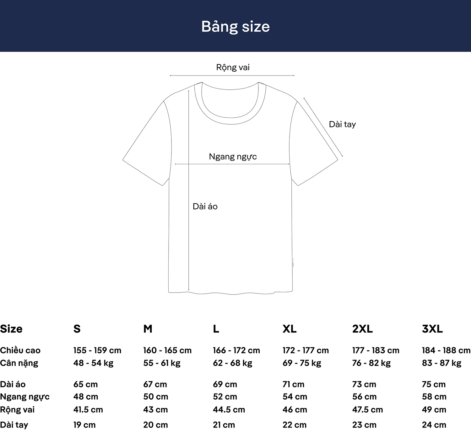 Bảng size áo thun nam 100% cotton basic