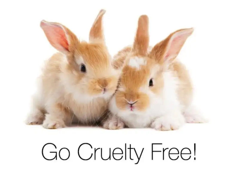 cruelty-free-la-gi-1151