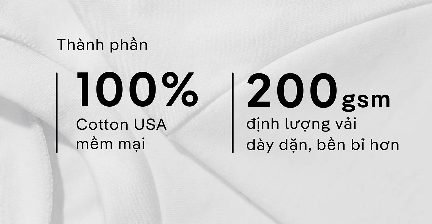 Thành phần áo thun nam 100% cotton basic