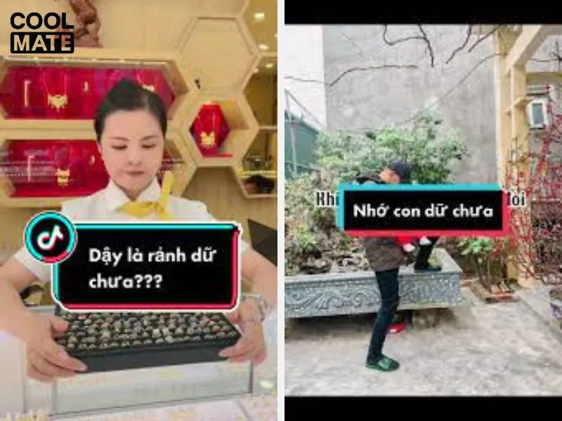 Nhiều video sử dụng từ 