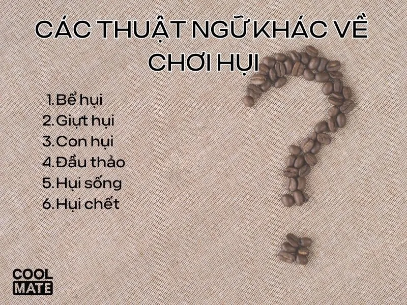 Các thuật ngữ khác về chơi hụi mà bạn cần biết