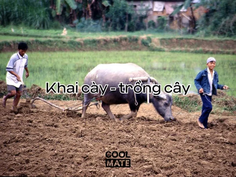 Khai cày - trồng cây là một hoạt động khai xuân đầu năm