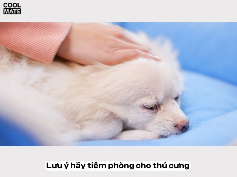 Hình ảnh thú cưng hạnh phúc sau khi được làm spa