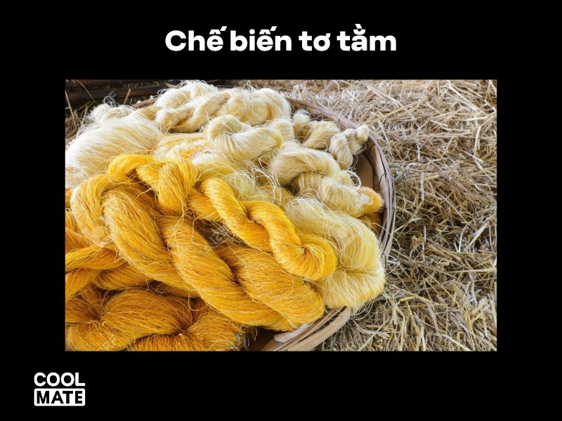 Chế biến tơ tằm