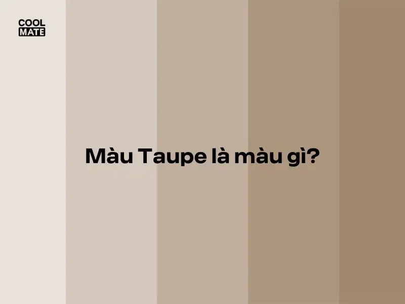 Màu taupe là màu gì?