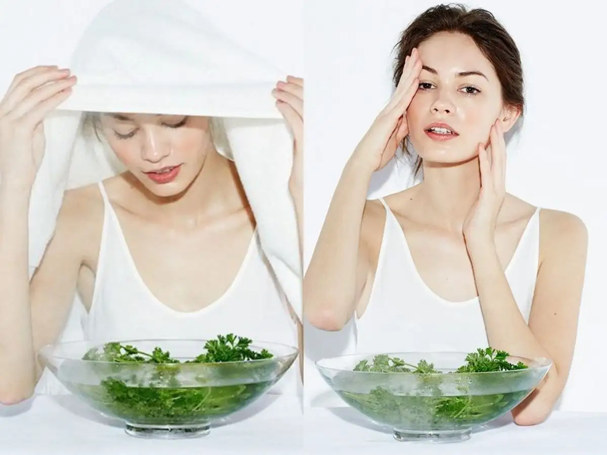 Xông hơi bằng cây ngải dại