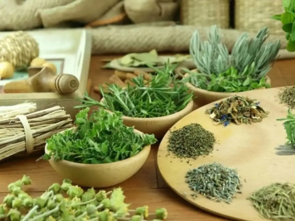 Đối tượng nên và không nên dùng