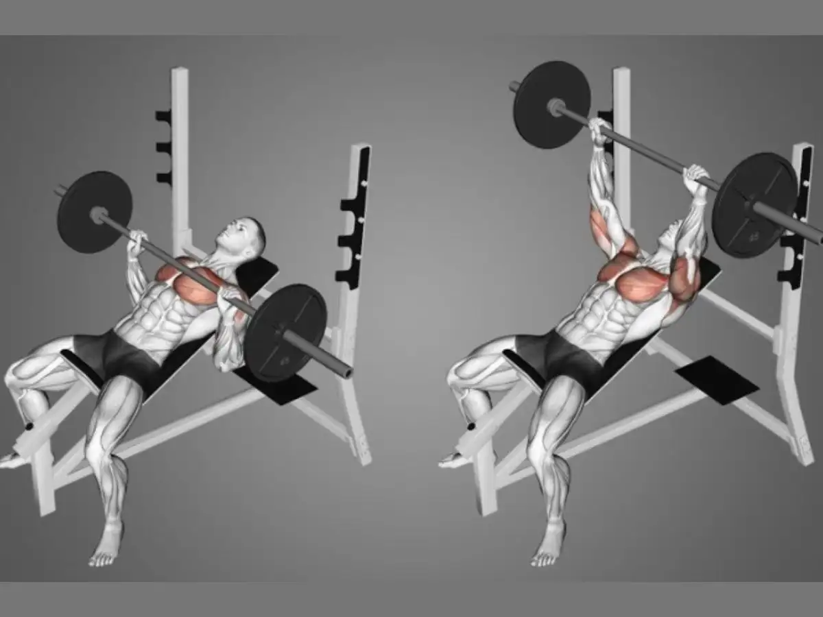 Trong quá trình đẩy tạ Bench Press bạn cần chú ý kiểm soát tốc độ hạ và đẩy tạ để đạt hiệu quả tốt nhất