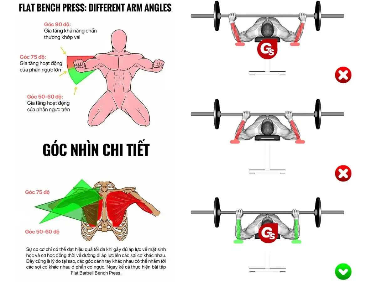 Cầm tạ quá hẹp/rộng ở bài tập Bench Press