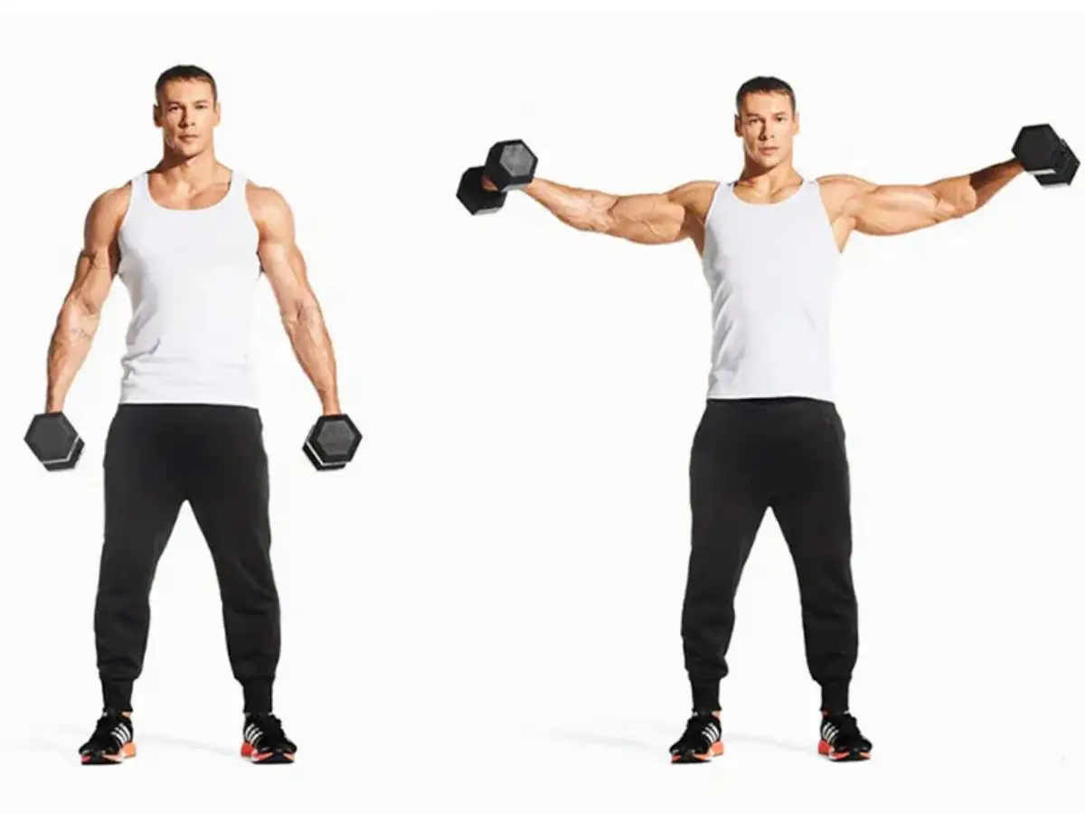 Dumbbell Lateral Raise