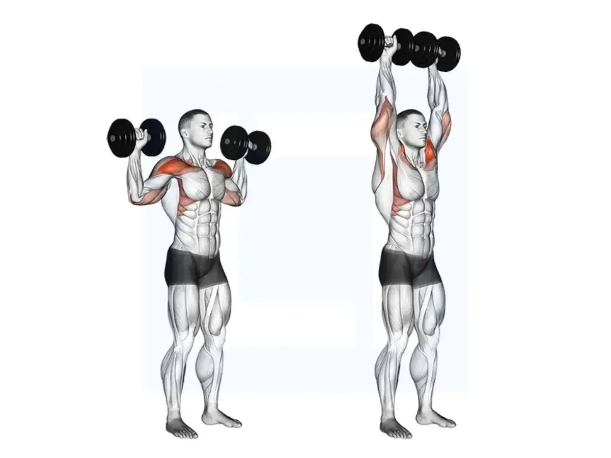 Overhead press với tạ tay