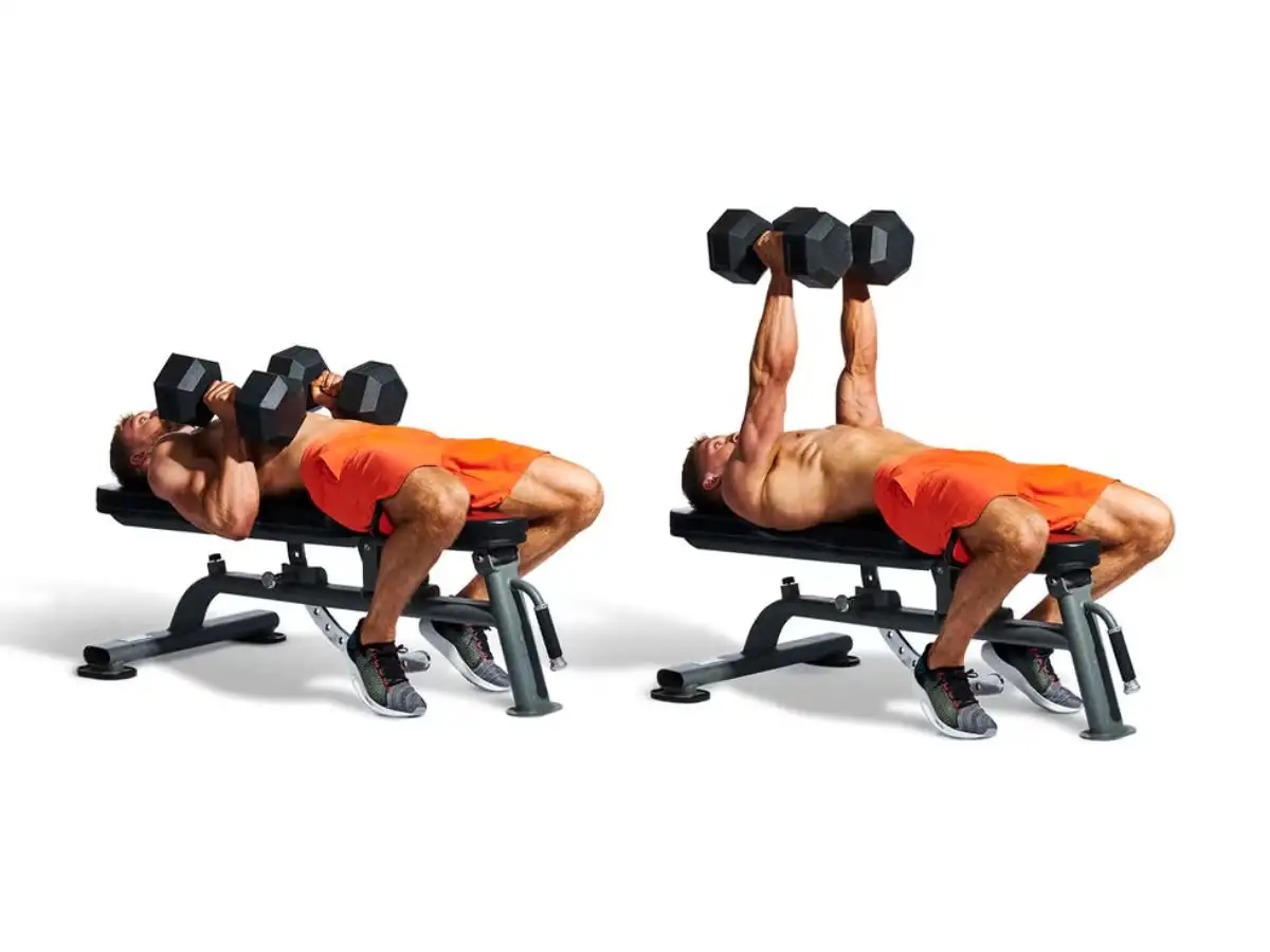 Dumbbell Bench Press với tạ tay