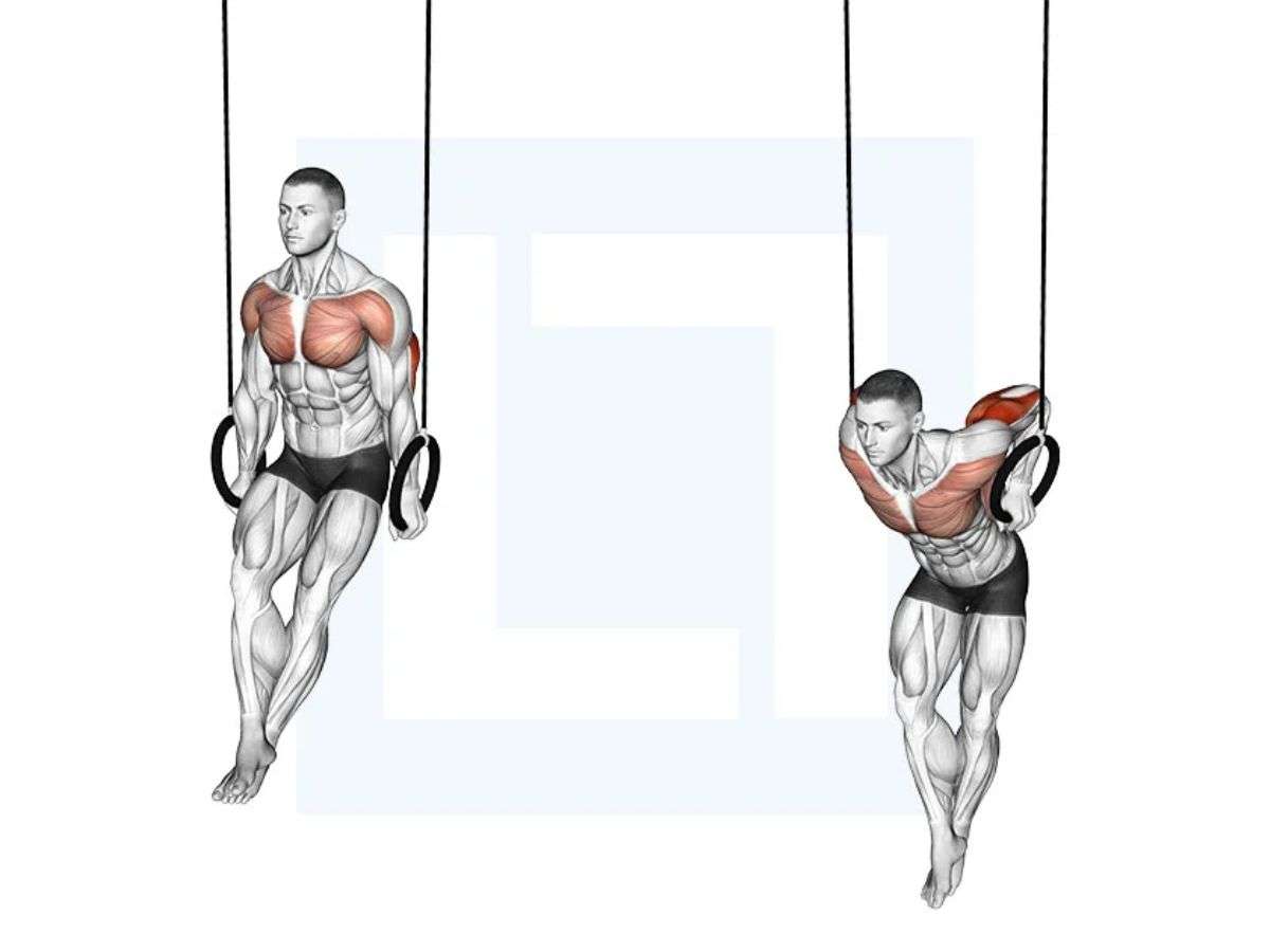  Động tác Ring Dips 