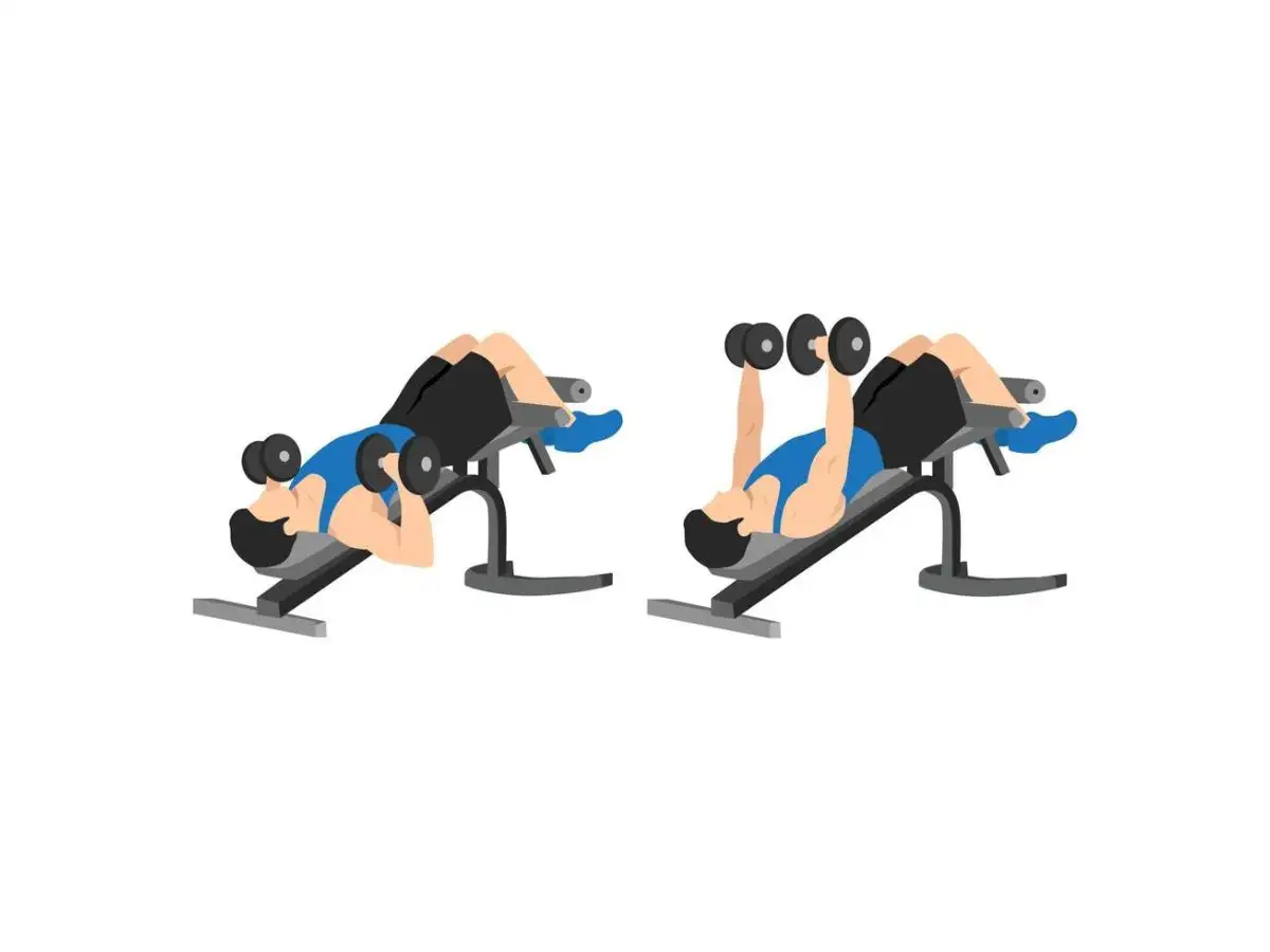 Dumbbell Decline Bench Press