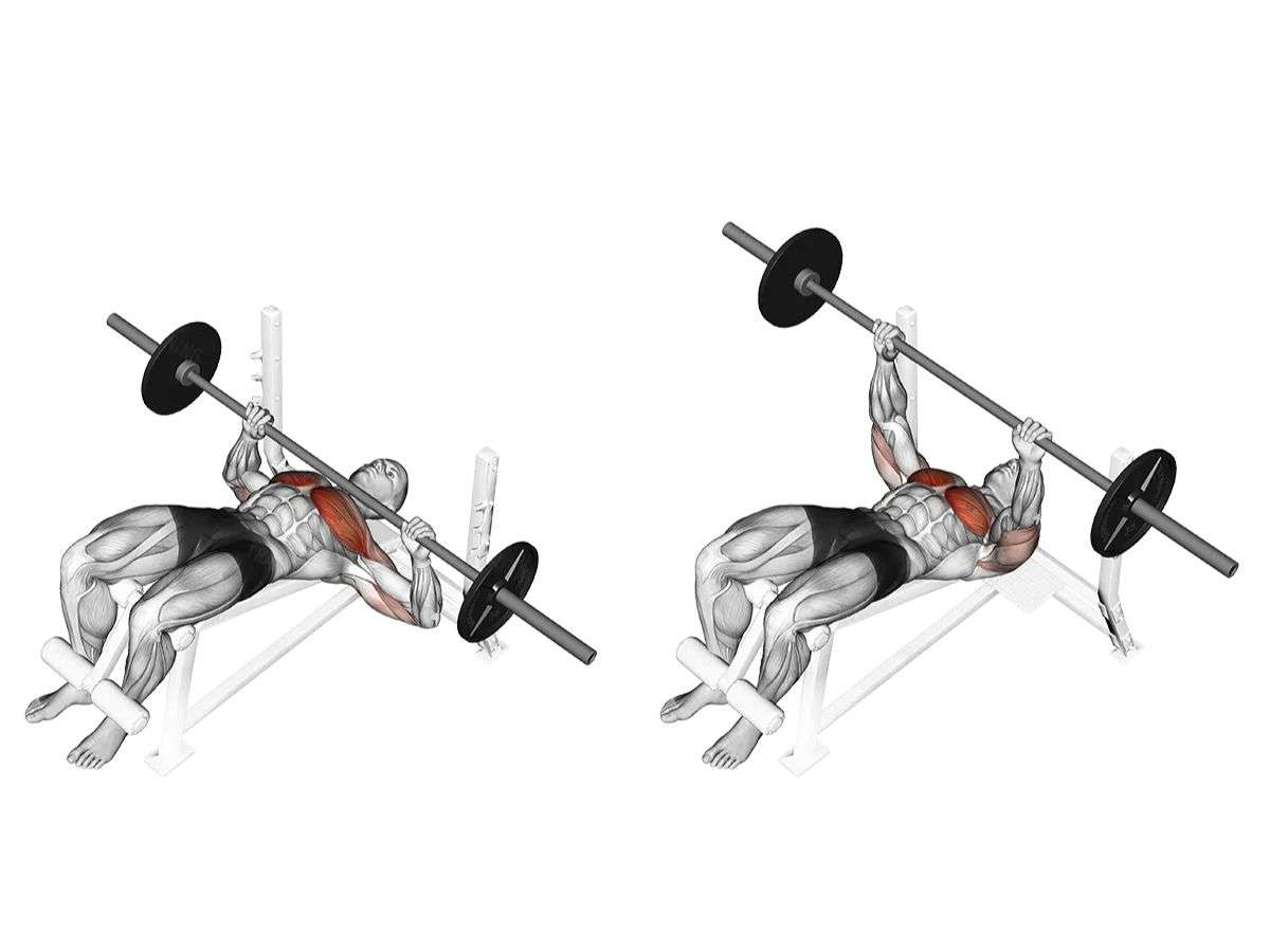 Decline Barbell Bench Press