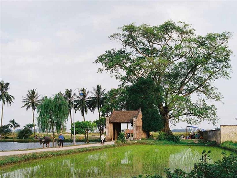 Làng cổ Đường Lâm được xem như một bức tranh làng quê Việt Nam