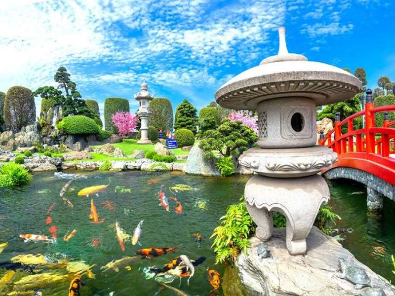 valentine-2023-di-dau