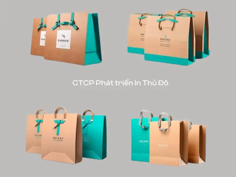 Sản phẩm hộp giấy in theo yêu cầu của CTCP Phát triển In Thủ Đô