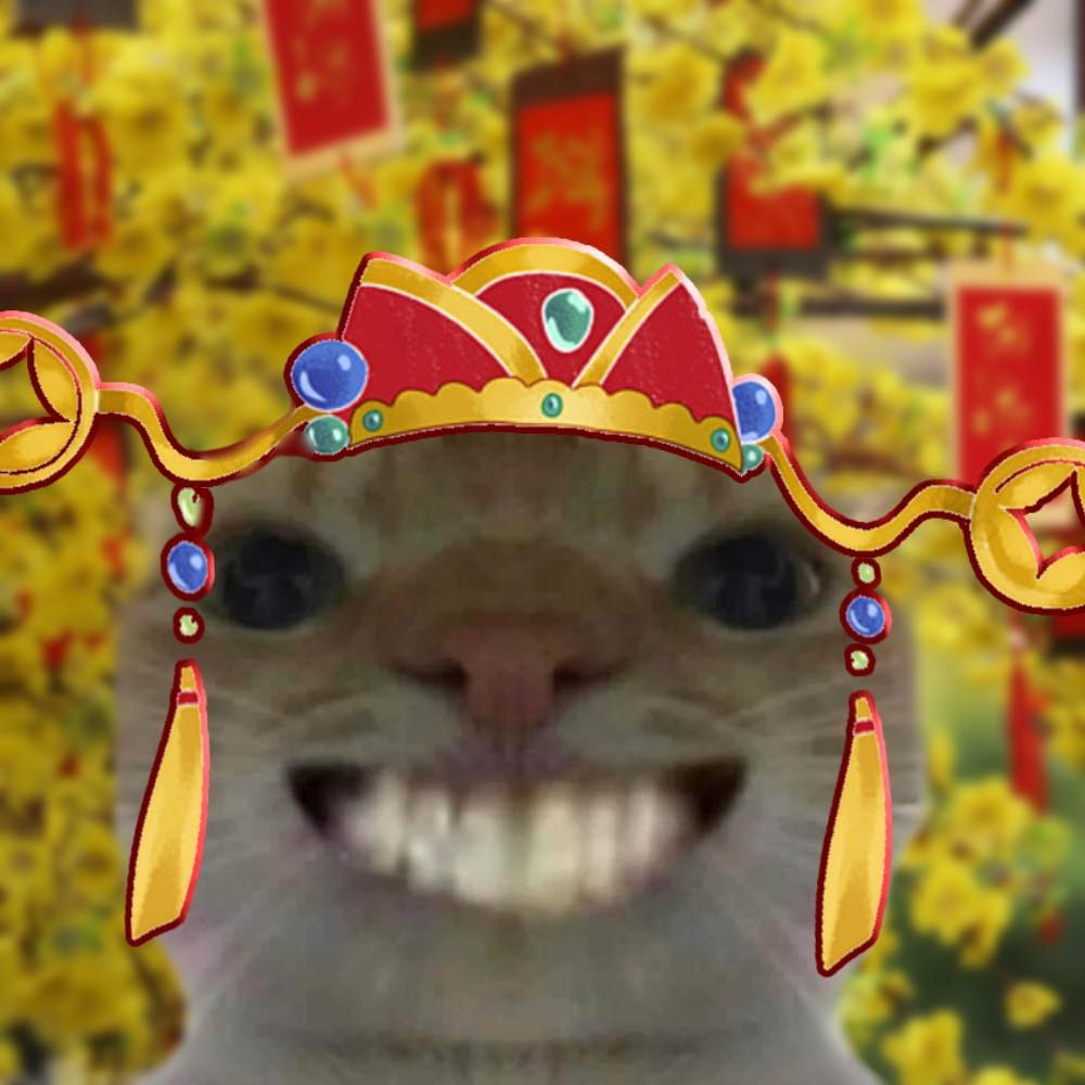 Meme Mèo Khóc, ảnh mèo khóc hài hước - QuanTriMang.com