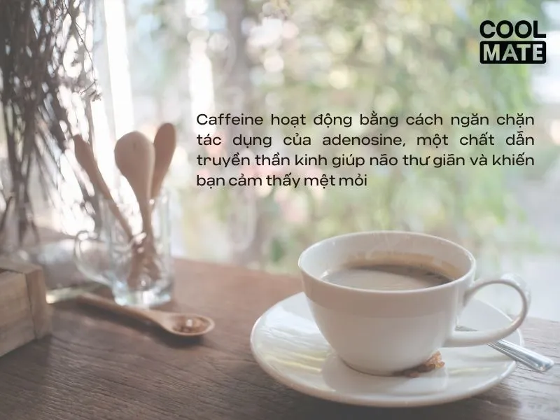 Hiệu quả của caffein