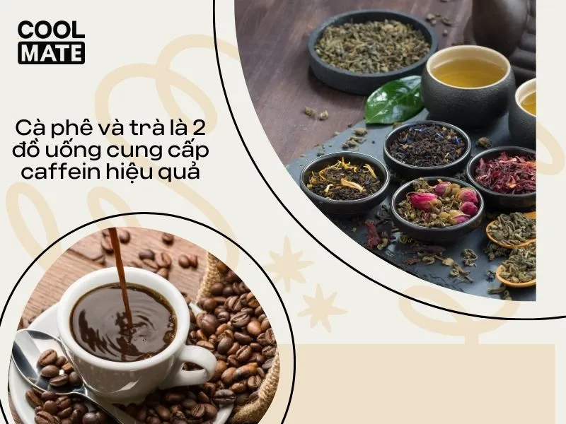 Cà phê và trà là 2 đồ uống cung cấp caffein hiệu quả